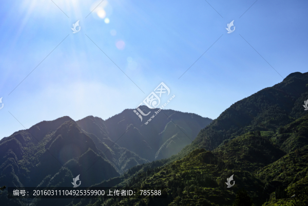 山林