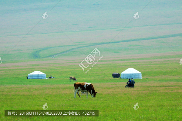 草原牧場蒙古包