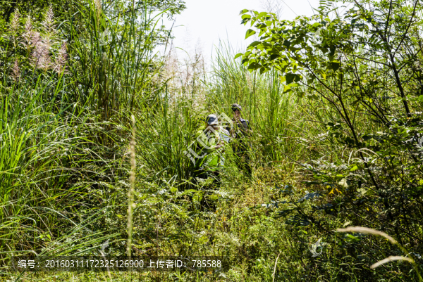 永安桃花林