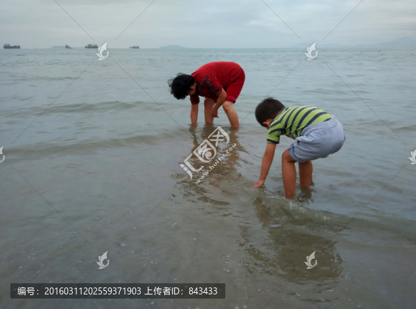拾貝