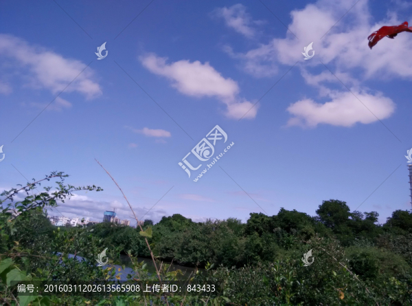 風景
