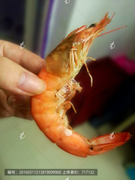 青島大蝦