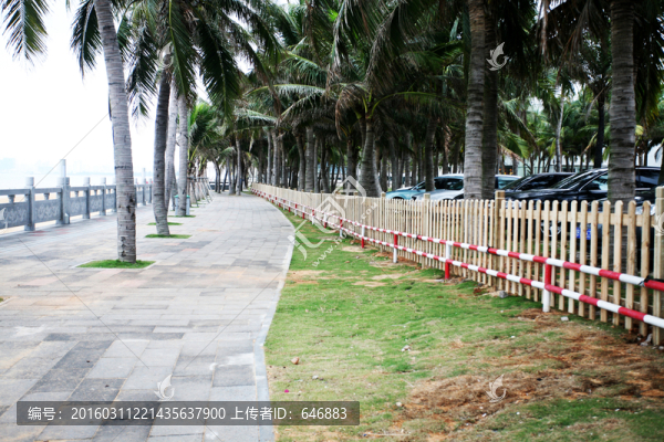 海邊棧道
