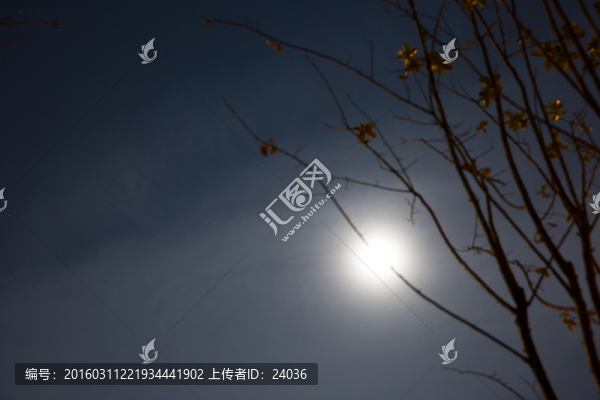 中秋節(jié),月上柳梢頭