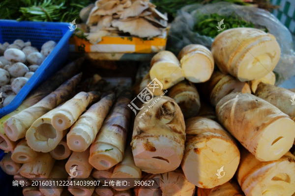 菜場(chǎng)