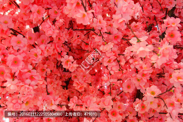 絹花,花卉,花朵