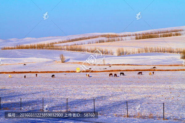田野雪景風(fēng)光