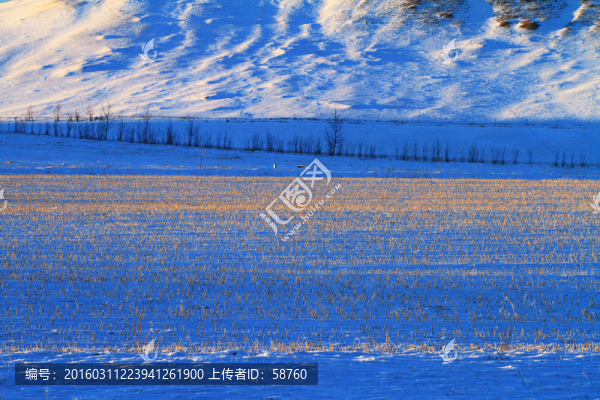 雪原冰雪