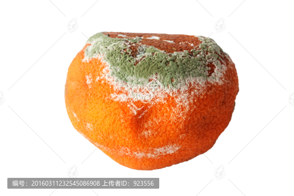 腐爛的水果