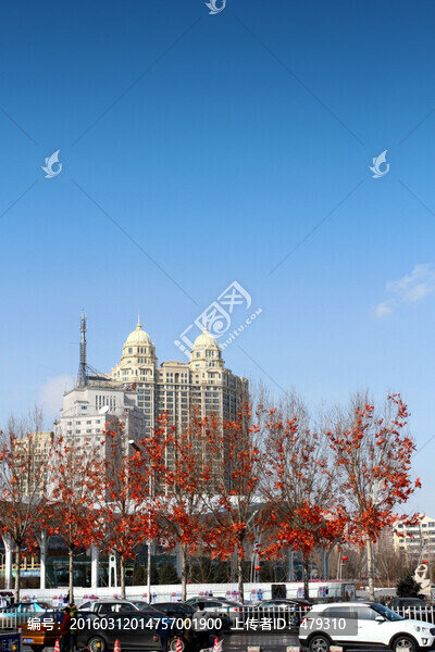 哈爾濱宏博廣場,都市風(fēng)光,廣場