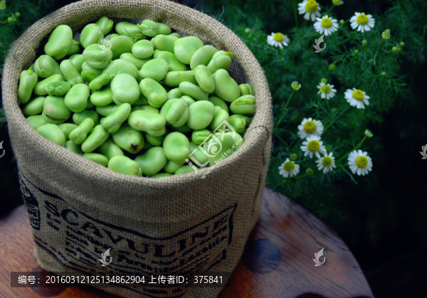 蠶豆
