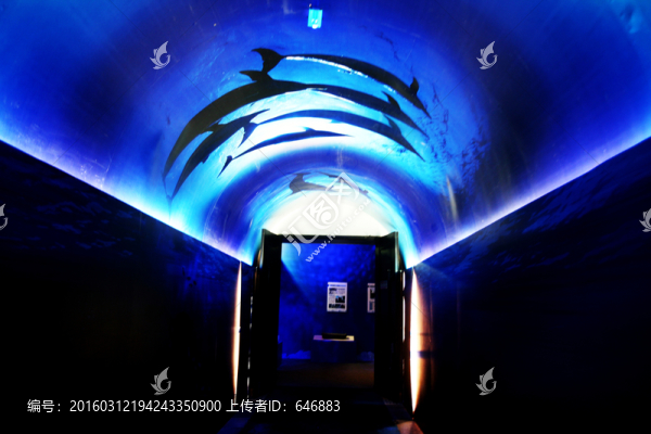 海底隧道