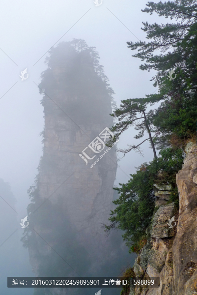懸崖峭壁綠樹
