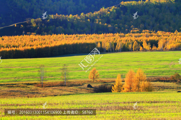 山野秋韻