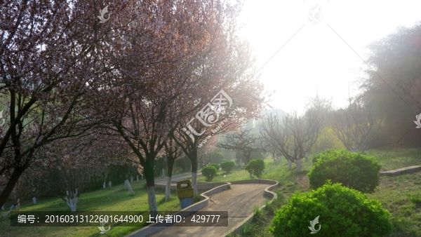 公園晨景,公園風景