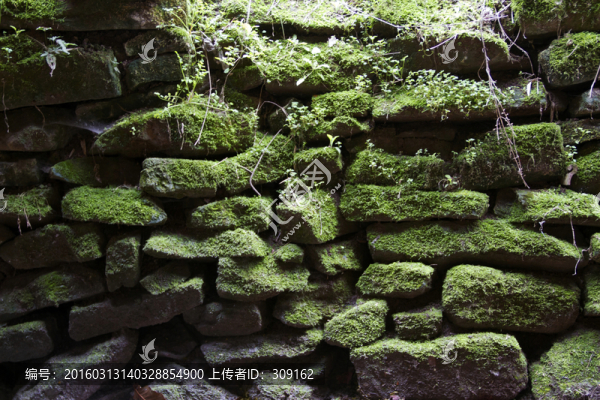 青苔石墻