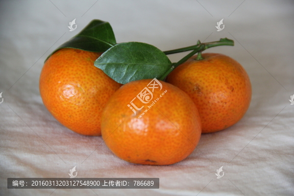 鮮桔