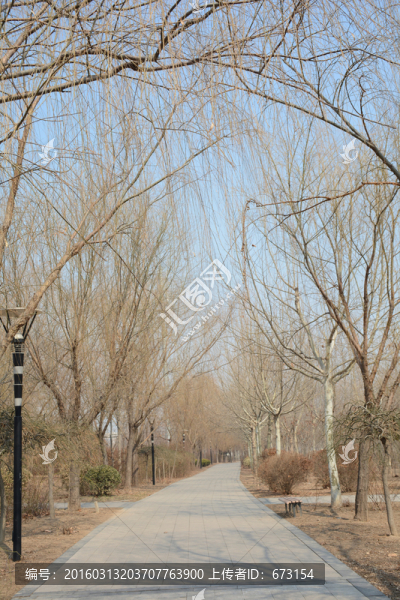 冬天的公園