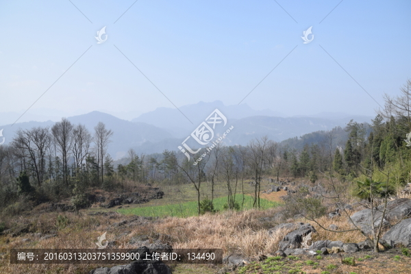 長陽,布旗山,大山