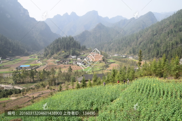 長陽,布旗山,大山