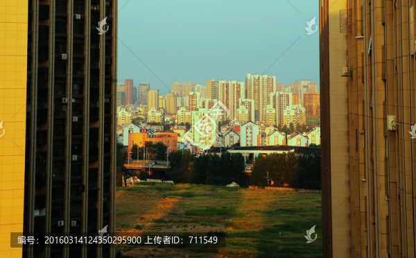 夕陽下城市高樓