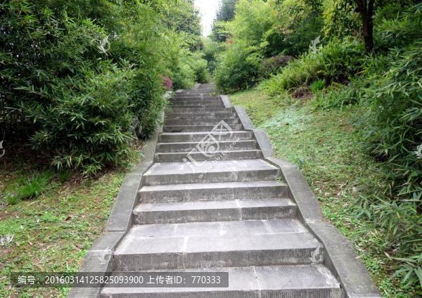 石板路,園林小路,石梯,階梯