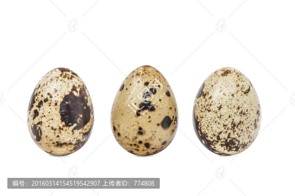鳥蛋