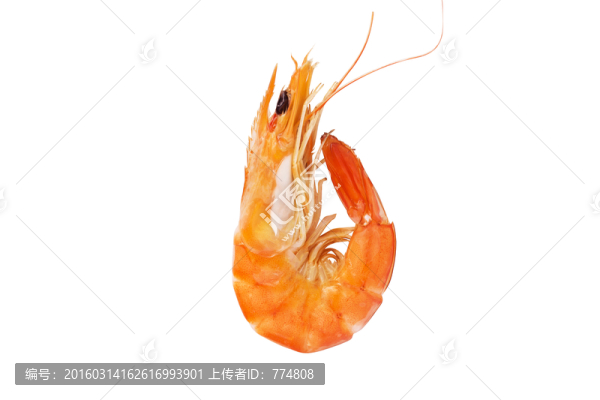 蝦