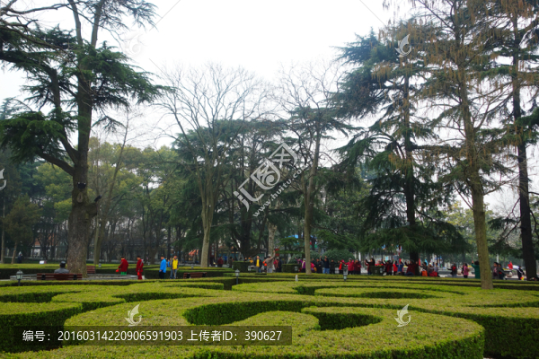 公園晨練
