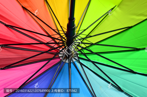 傘紋理素材