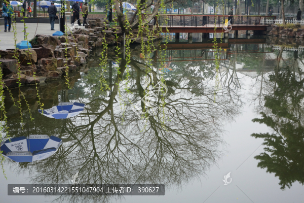 公園