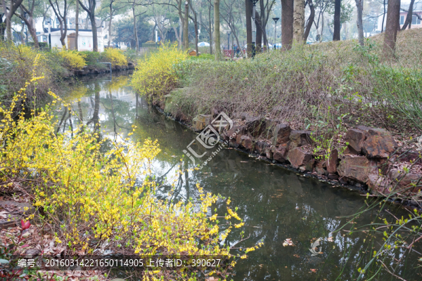 公園
