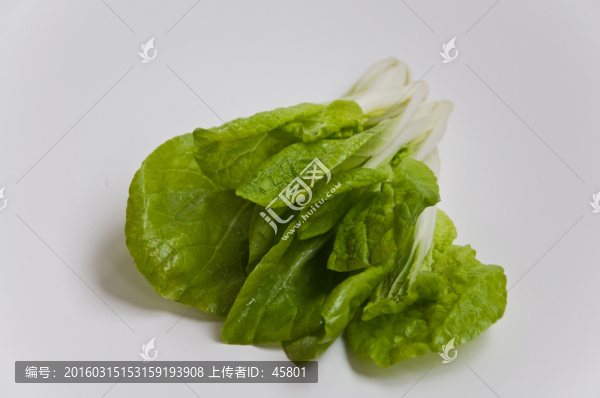 奶白菜