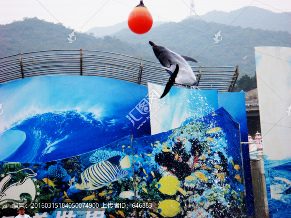 深圳海洋世界