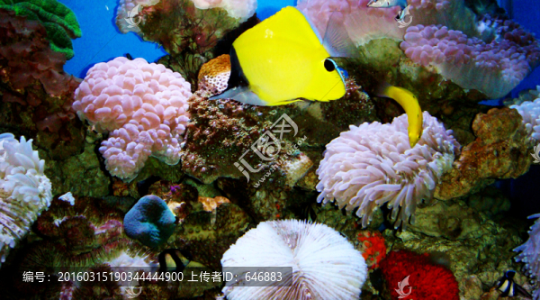 海洋世界