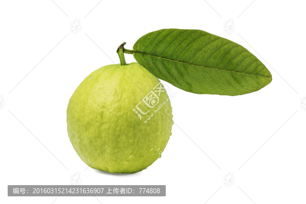 芭樂
