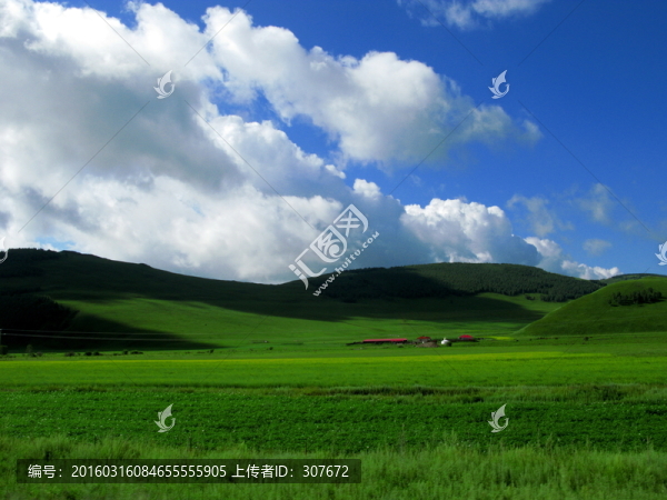 草原風(fēng)光