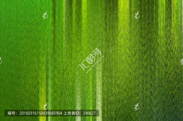 綠色背景底紋（未分層）
