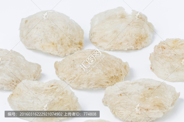 燕窩