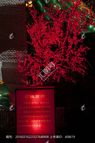 綿陽燈會展