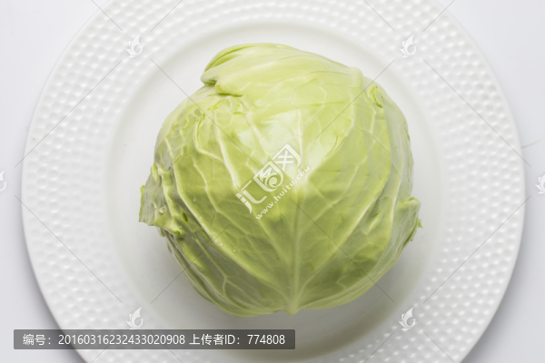 包菜