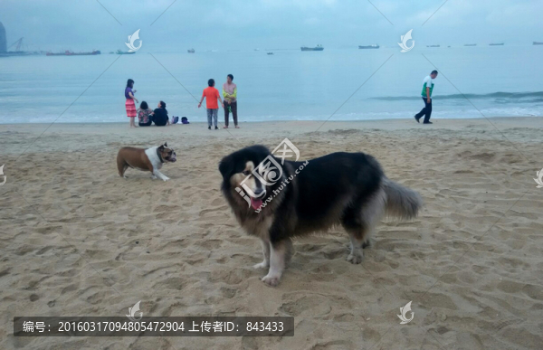 海邊