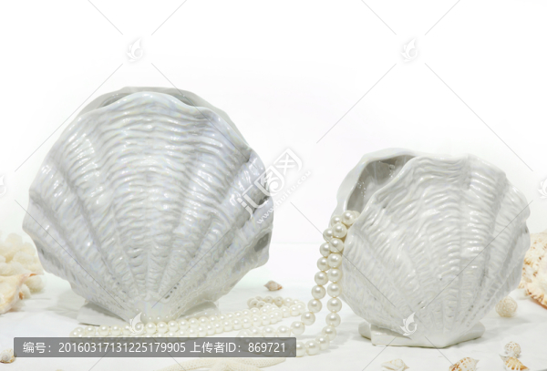 瓷器貝殼裝飾