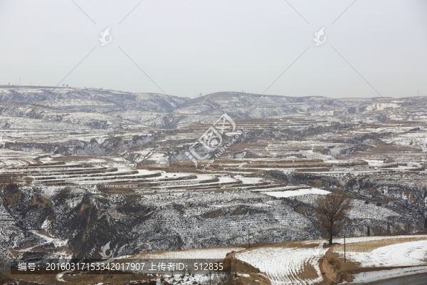 黃土高坡