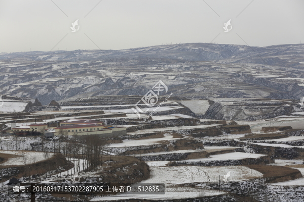 黃土高坡