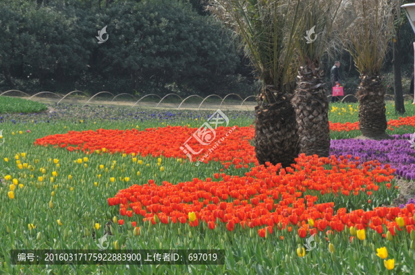 郁金香花博會(huì)