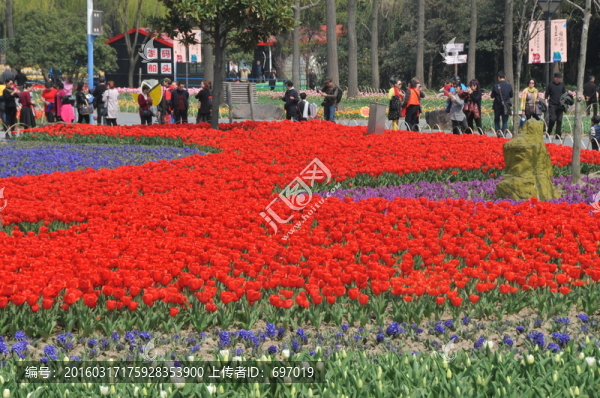 郁金香花博會