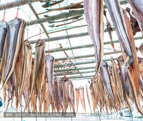 鰻魚干