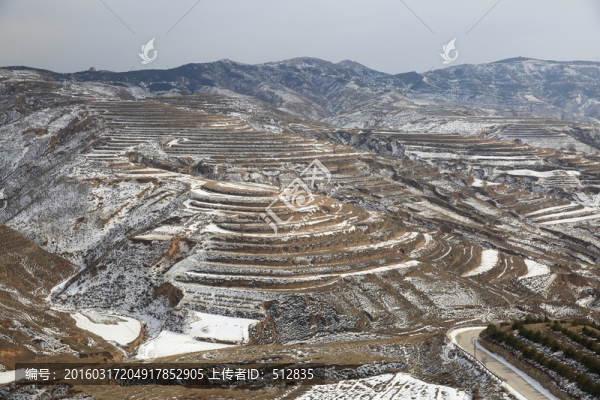 梯田