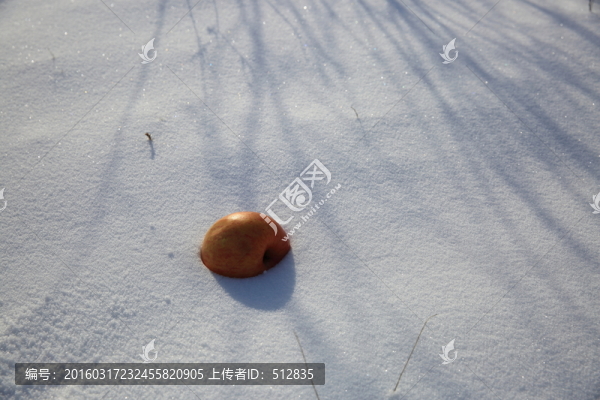 雪地